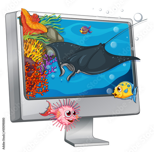 Stingray swimming on computer screen
