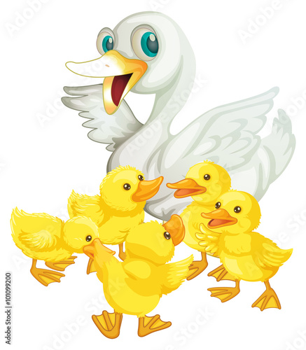 Mother duck and five ducklings
