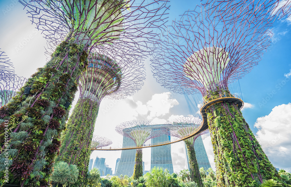 Naklejka premium Ogród nad zatoką i hotel Marina Bay Sands w Singapurze na tle błękitnego nieba.