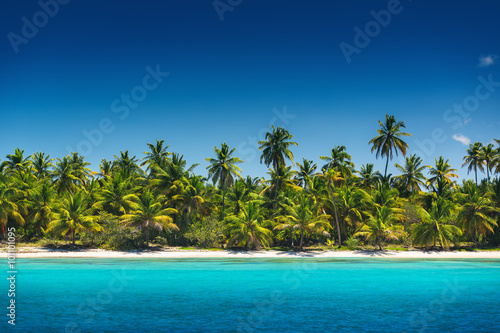 Palm trees on the tropical beach, Saona Island, Dominican Republ © ValentinValkov
