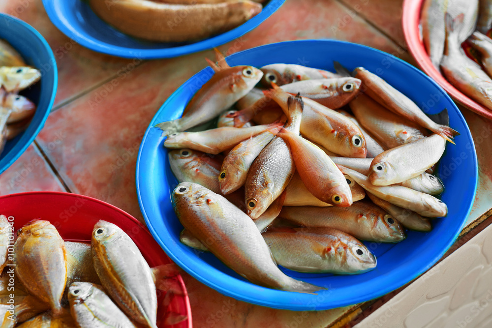Seafood. Fish Market. Close Up Of Variety Of Fresh Caught Raw Different Species Fish At Market In Thailand, Asia. Healthy Food Eating. Nutrition, Diet And Vitamins. Seafood. Fish Market. Close Up Of Variety Of Fresh Caught Raw Different Species Fish At Market In Thailand, Asia. Healthy Food Eating. Nutrition, Diet And Vitamins.