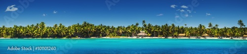 Panoramic view of Exotic Palm trees on the tropical beach. © ValentinValkov