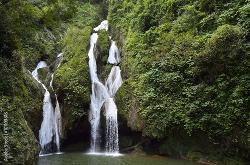 Photography Waterfall in a lush rainforest