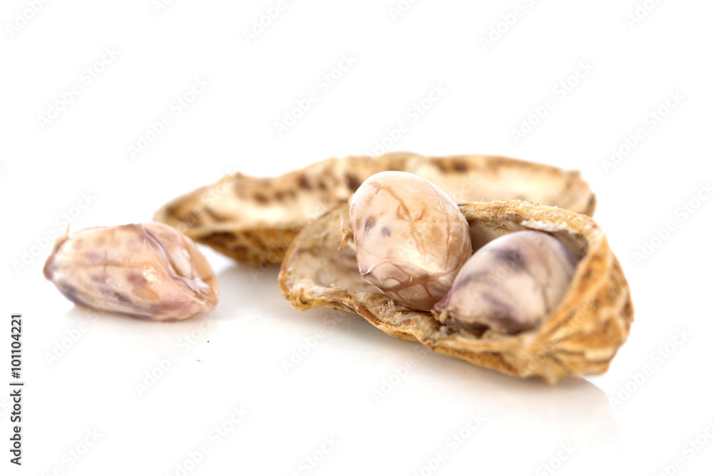 nut isolated on the white background , selective focus nut isolated on the white background , selective focus