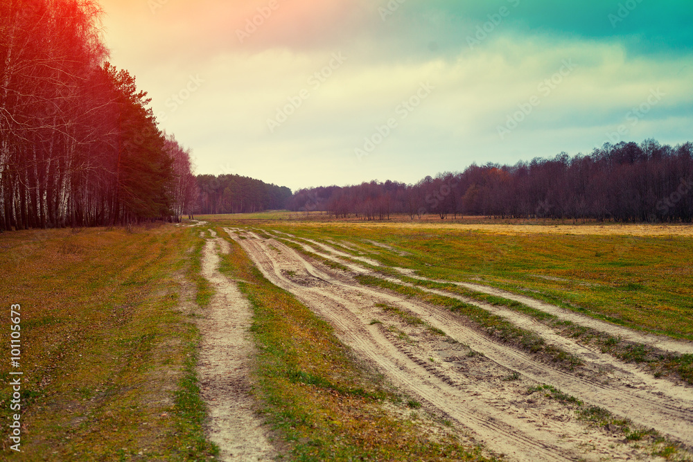 Naklejka premium Rural autumn landscape, dirt road on a glade
