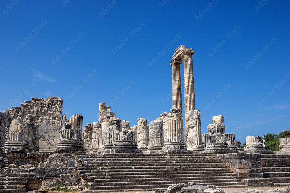view of Temple of Apollo in Didim