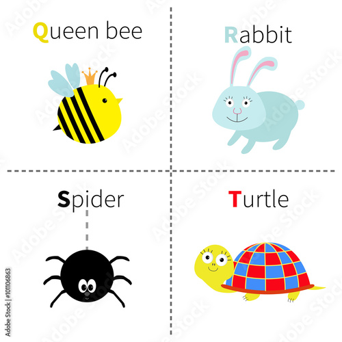 Letter Q R S T Queen bee Rabbit Spider Turtle Zoo alphabet. English abc with animals Education cards for kids Isolated White background Flat design