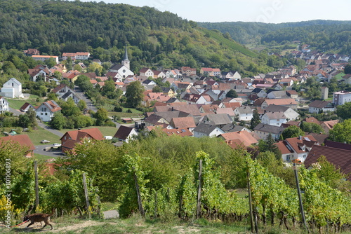 Ramsthal bei Bad Kissingen photo