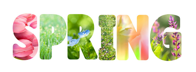 Wandcirkels Lente Lente woord met kleurrijke natuurbeelden  © Taiga