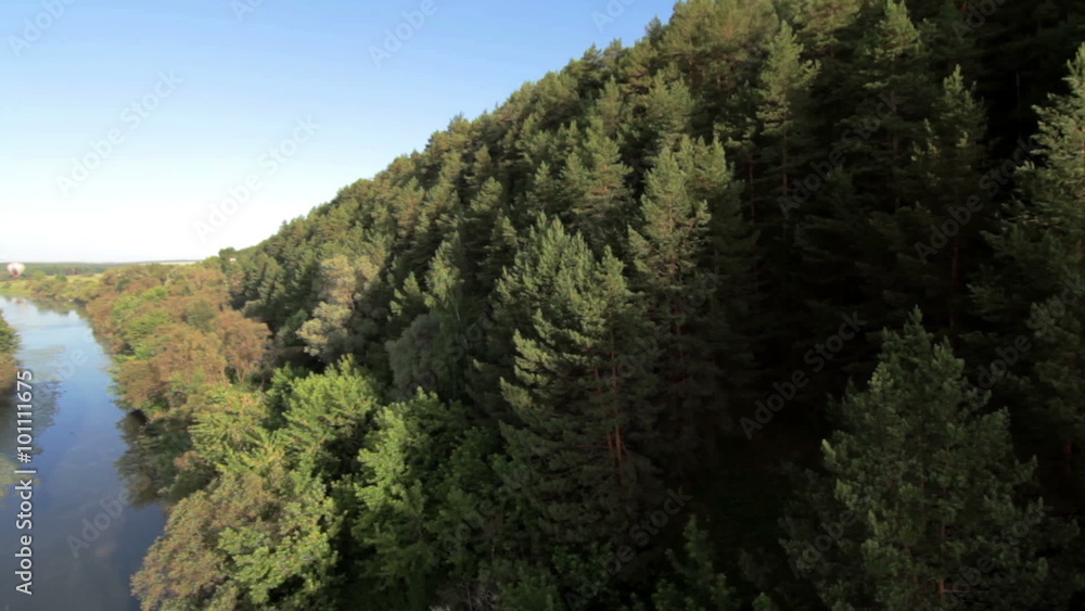 Aerial view of the forest and river Aerial view of the forest and river