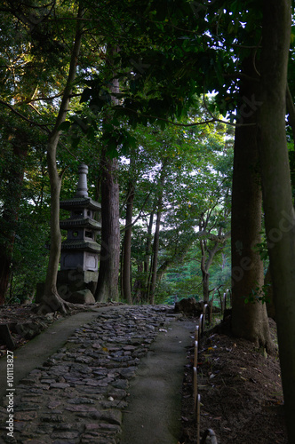 Old japanese path inside a forest