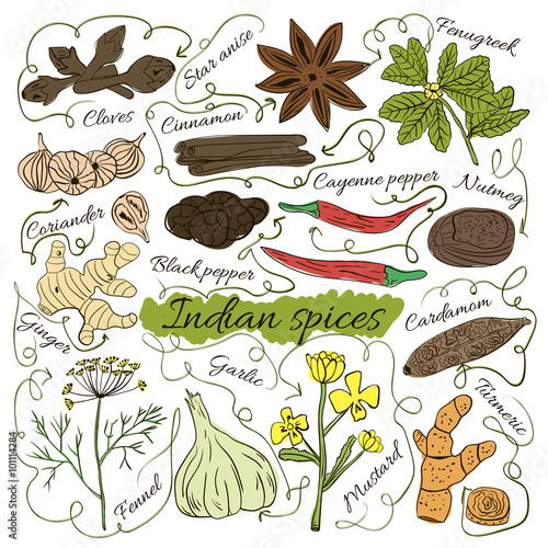 Colorful insulated set of local hand drawn herbs and spices dishes of the world on white background. The indicating arrows. Mysterious India. Vector 