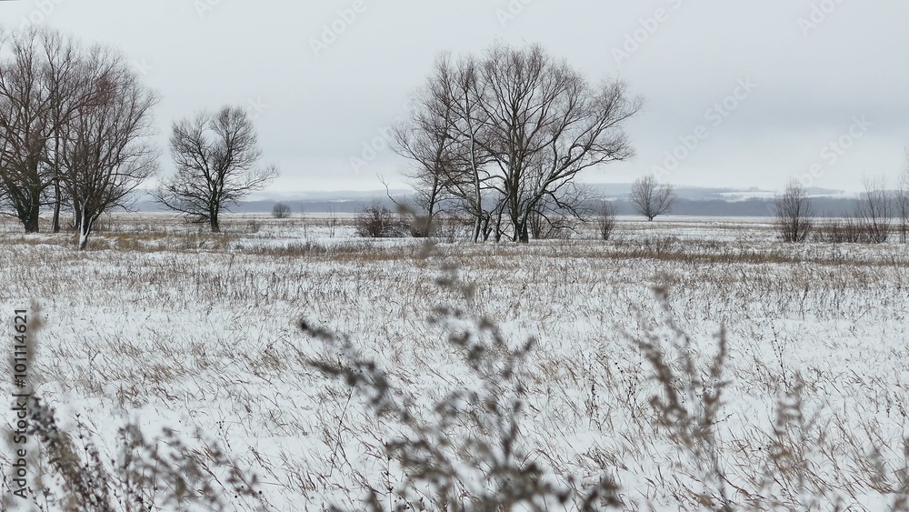 Field with grass and snow Russia away dead trees winter landscape Field with grass and snow Russia away dead trees winter landscape