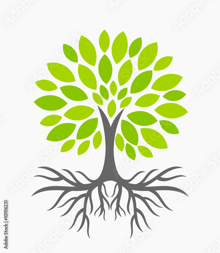 Tree with roots