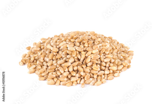 Wheat on white background.