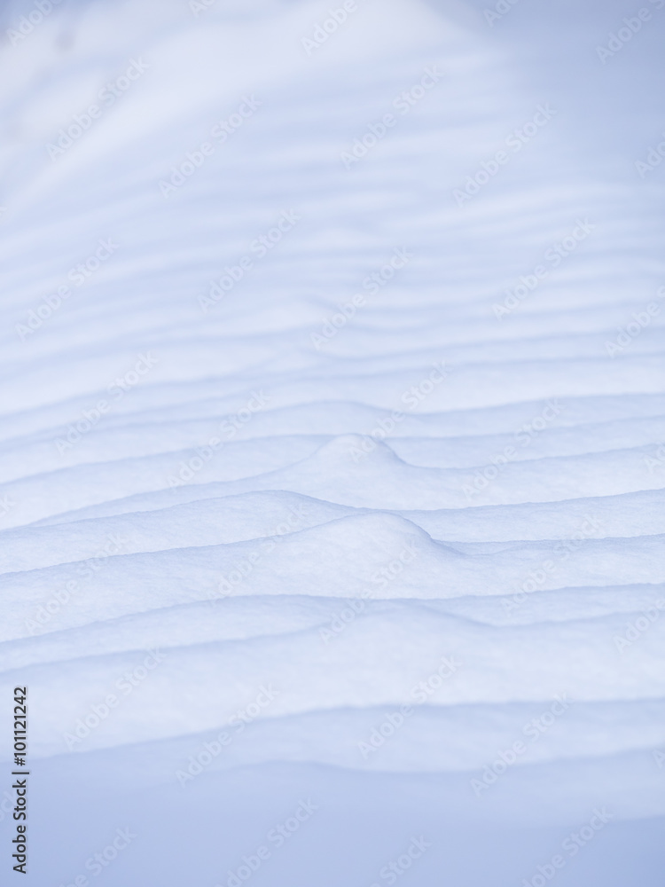 Obraz premium 白い雪紋