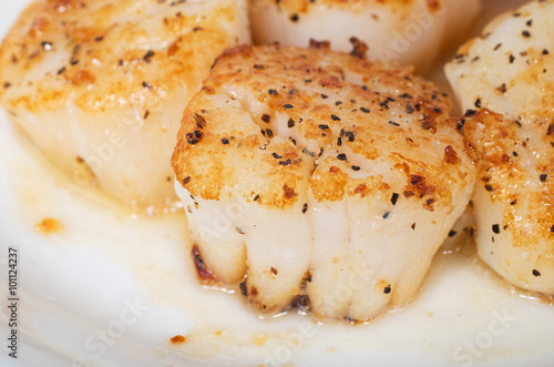 Close up of pan fried giant sea scallops