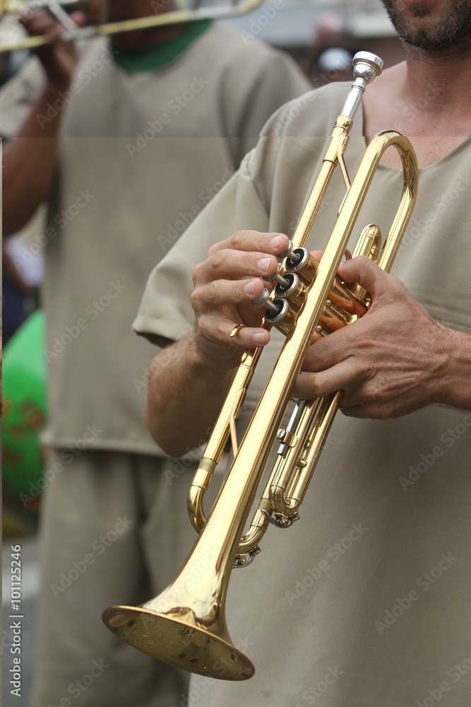 Obraz premium Carnaval 2016 - Cayenne - 3em Parade