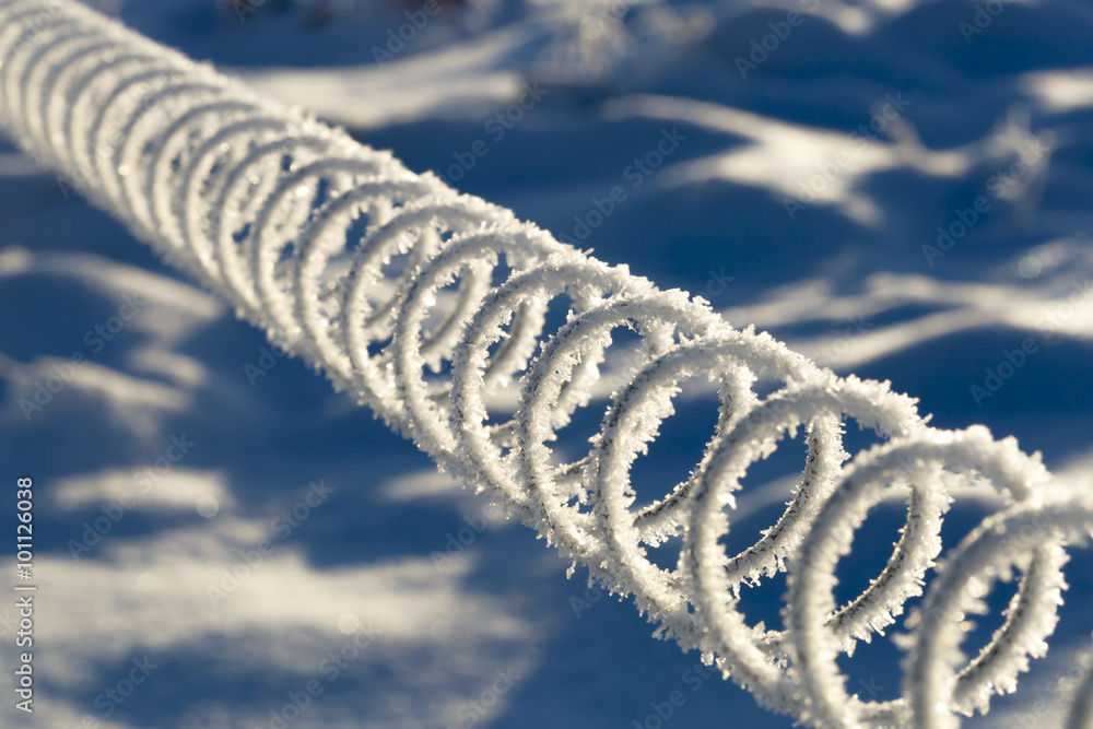 Papier peint Coiled Wire Covered in Frost
