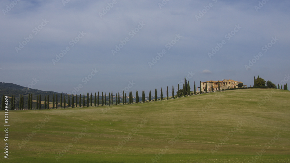 Villa mit Allee in der Toskana