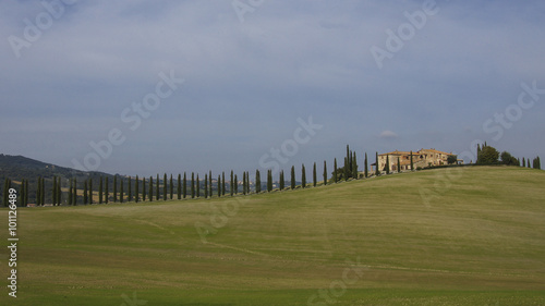 Villa mit Allee in der Toskana