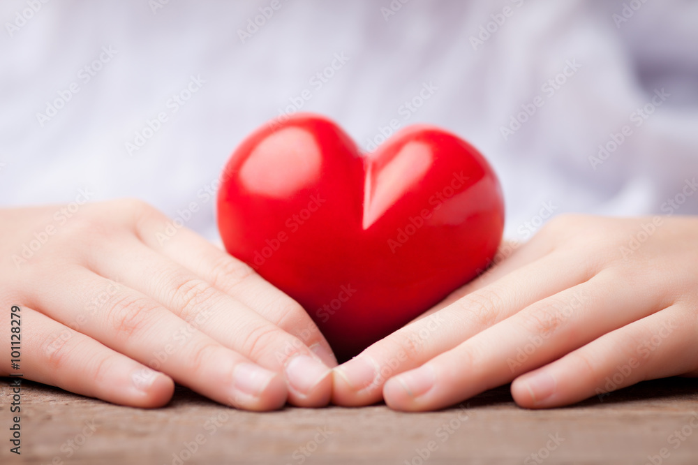 hands protect a heart hands protect a heart