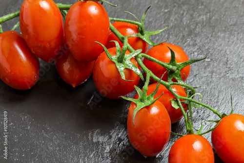 Obraz na plátně fresh piccadilly tomatoes bunch over slate