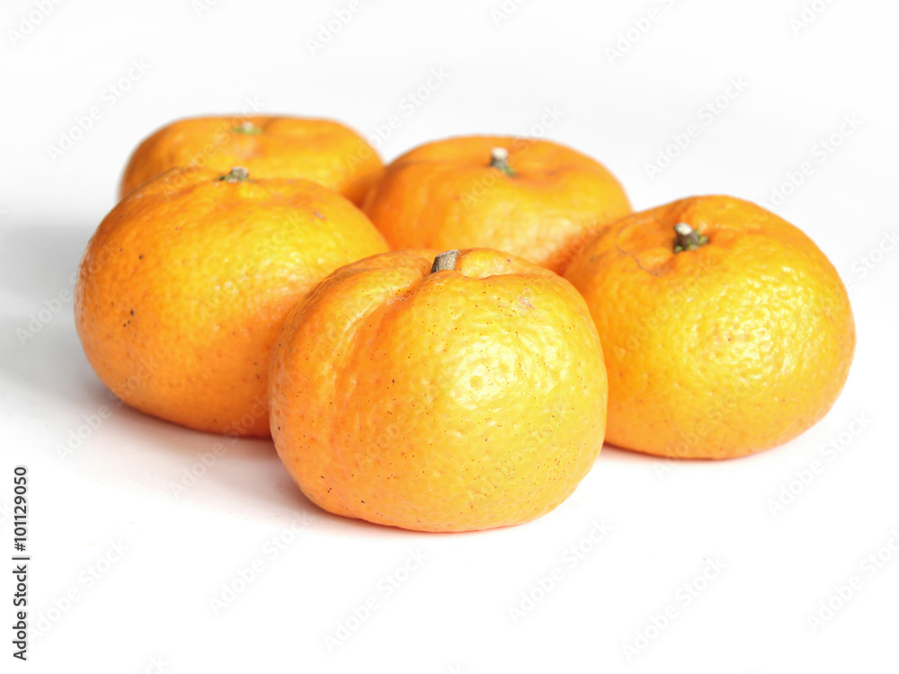 Orange, Mandarin Orange, Citrus sinensis Orange, Mandarin Orange, Citrus sinensis