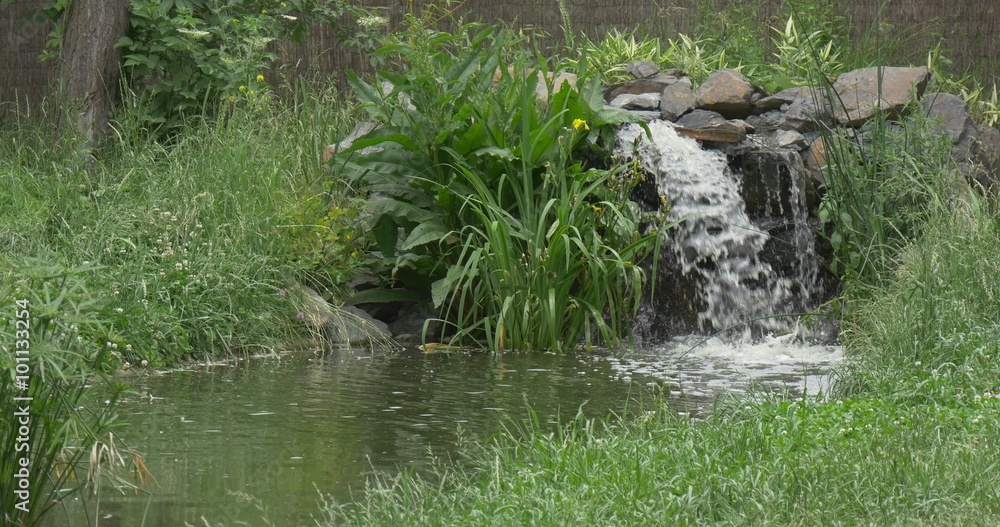 Waterfall and River in The Park, Flamingo`s Pond Waterfall and River in The Park, Flamingo`s Pond