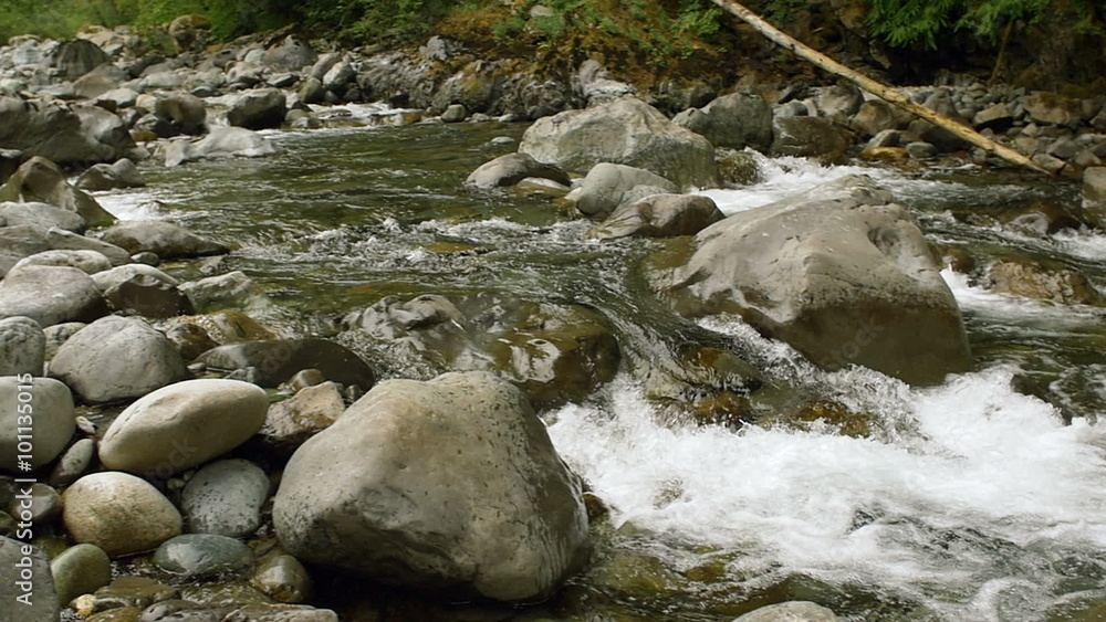 Slow Motion Forest River Flowing Over Small Waterfalls Slow Motion Forest River Flowing Over Small Waterfalls