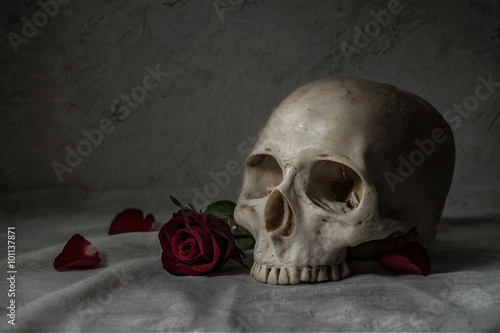 Still life painting photography with human skull and roses
