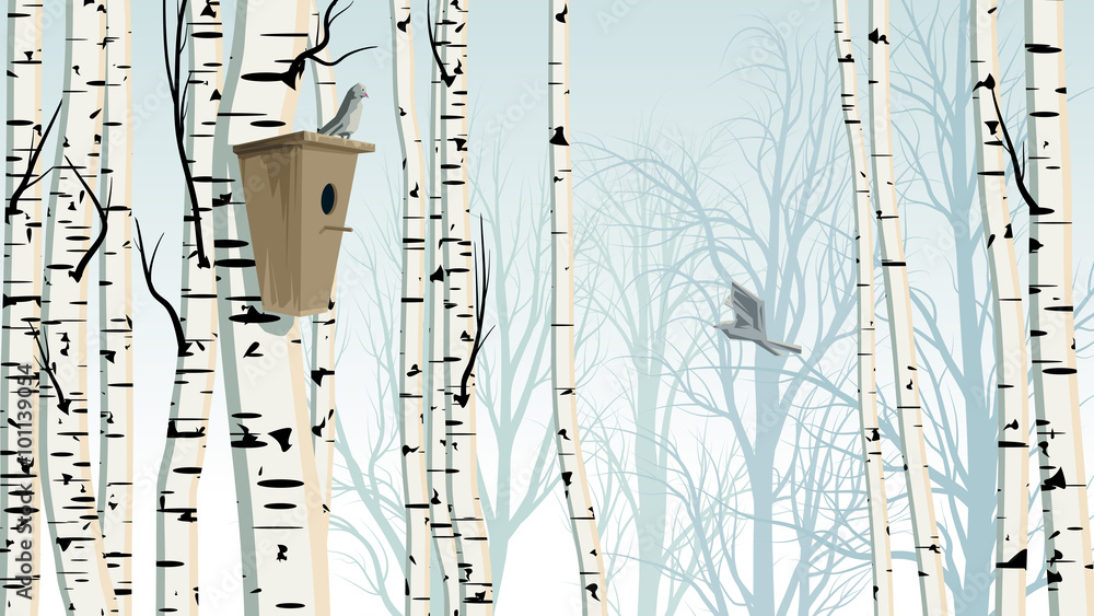 Horizontal illustration of birch trunks forest with birdhouse.