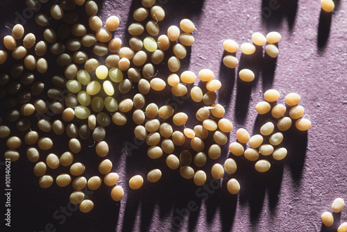Valokuva Butterfly eggs silkworm eggs