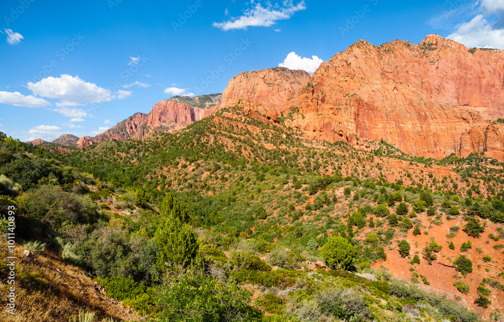 Zion National Park Zion National Park