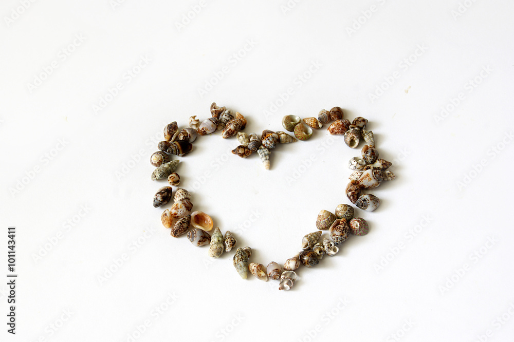 The figure of a heart made of seashells The figure of a heart made of seashells