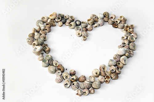 The contour of the heart made of shells