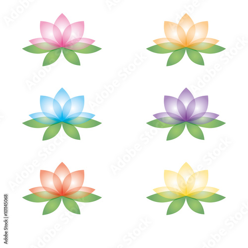 Set of lotus flowers on a white background illustration 