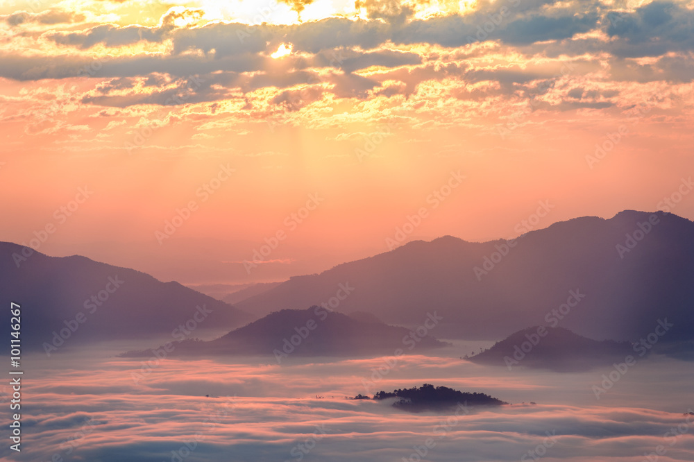 Fototapeta premium fog and cloud mountain valley landscape