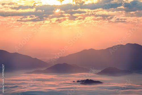 fog and cloud mountain valley landscape