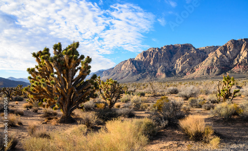 Photography Spring Mountain Ranch State Park