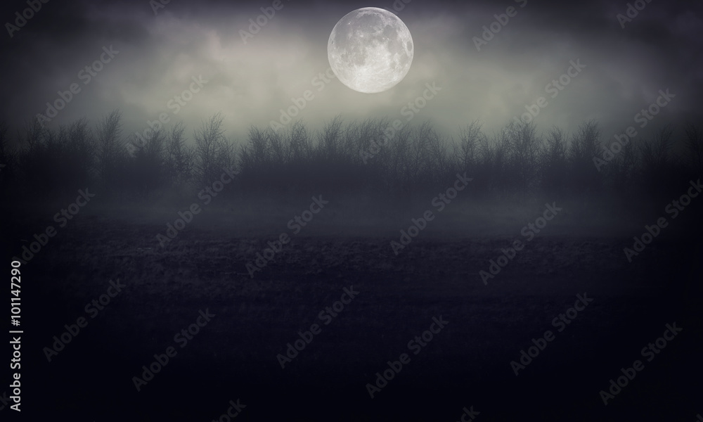night forest halloween background