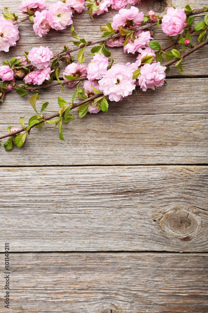 Spring flowering branch on grey wooden background Spring flowering branch on grey wooden background