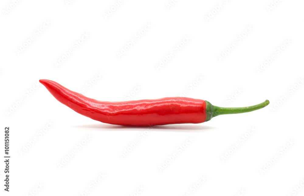 Hot red chili or chilli pepper isolated. Hot red chili or chilli pepper isolated.