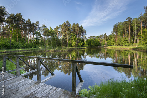 Small lake in the forest photo