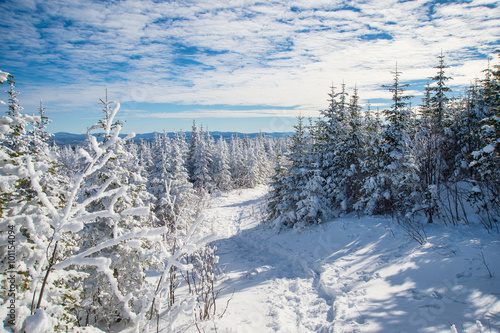 Beautiful snowy landscape in Quebec, Canada