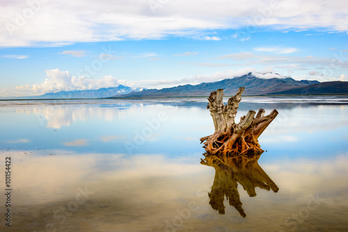 Принти на полотні Antelope Island State Park