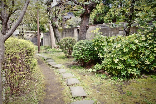 Tokyo park - Sumida ward