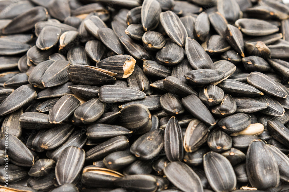 organic sunflower seed for background uses organic sunflower seed for background uses