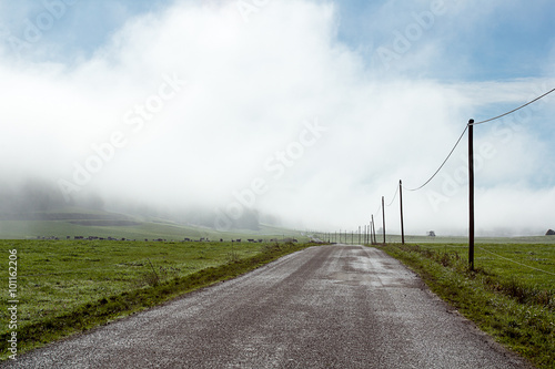 route dans la campagne bordée de poteaux électrique dans le brouillard