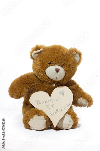 brown teddy bear on white background